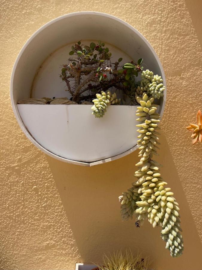 Apartament Eco House Golfinhos